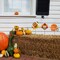 24"H Set of 3 Thanksgiving Metal Football Turkey Yard Stake(KD)